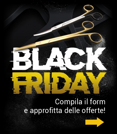 banner_form_black-friday-400×460